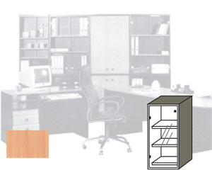 Biroja skapis R52, 55*110*36cm, diskabrdis